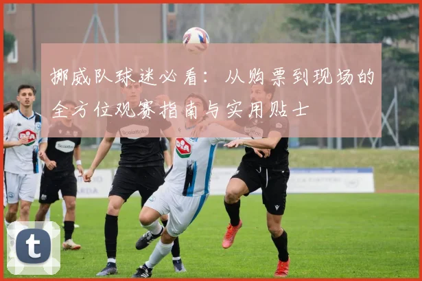 挪威队球迷必看：从购票到现场的全方位观赛指南与实用贴士